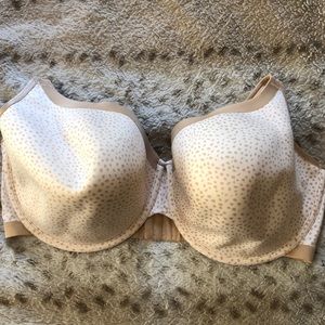 Cacique Intimates & Sleepwear - 42h Animal Print Bra Cacique Intimates & Sleepwear - 42h Animal Print Bra